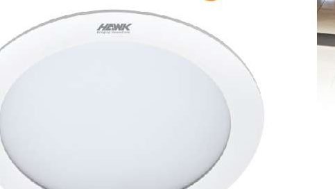 Hawk LED Down Light